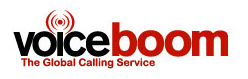 Voice Boom